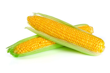 ear of corn isolated on a white background