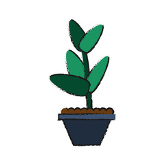 plant in pot icon image vector illustration design