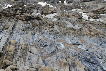 Stone strata pavement