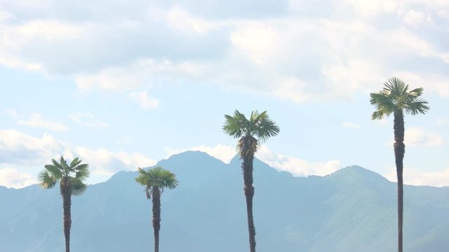 Palm trees, mountains and sky. Nature and clouds.