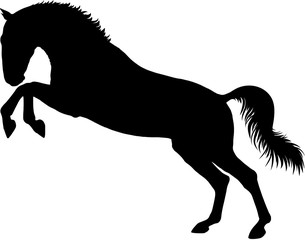 A silhiuette of a horse standing on hind legs.