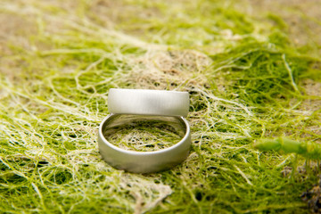 view on a pair of white golden wedding rings on nature background