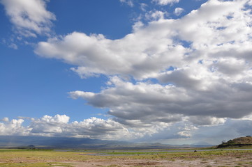 Obraz premium The African landscape. Kenya