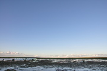 The African landscape. Kenya
