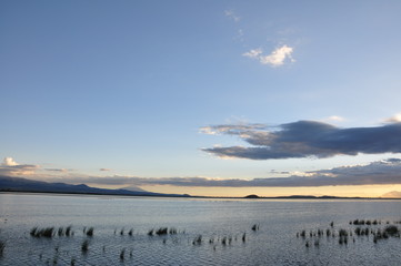 The African landscape. Kenya