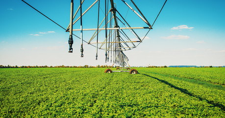 Automated farming irrigation system. Agricultural concept