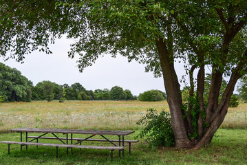 Picnic Area by the Meadow in Sedgwick Park in Kansas