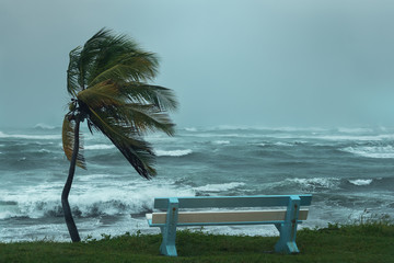 Tropical Storm