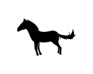 Horse Logo Template Vector illustration design
