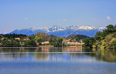 Fototapeta premium 南湖公園（福島県・白河市）