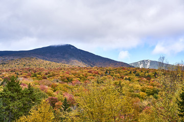 New England Fall Landscapes