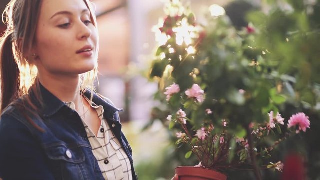 Woman Buying Flowers in a Sunlit Garden Shop. 4K. Young woman shopping for decorative plants on a sunny floristic greenhouse market. Home and Garden concept. 