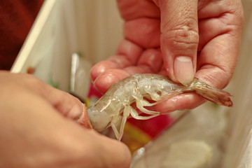 Homemade cooking,Fried Jasmine rice with prawns in yellow powder