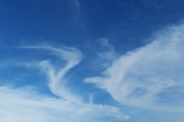 Blue sky and white clouds on a beautiful day.