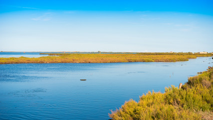 Ebro Delta estuary and wetlands, Tarragona, Catalunya, Spain. Copy space for text.