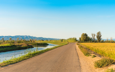 Naklejka premium Ebro Delta estuary and wetlands, Tarragona, Catalunya, Spain. Copy space for text.