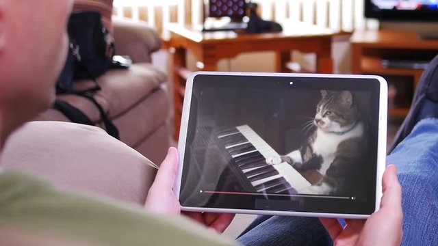 A man watches a viral video of a funny cat playing a keyboard or electric organ.	