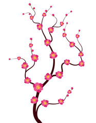 Vector Cherry blossom for Chinese New Year and lunar new year