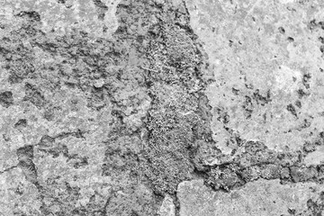 Moss Stone Concrete Detail