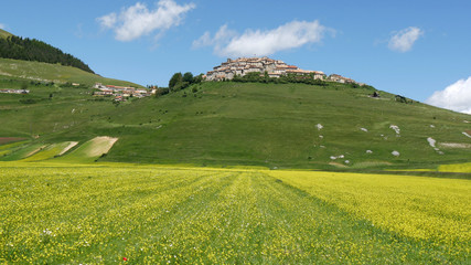 Fototapeta na wymiar Castelluccio di Norcia in Umbria fioritura dei campi di lenticchie