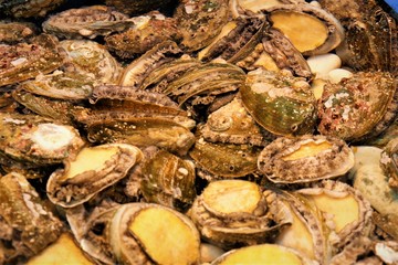fresh abalone in Seafood Market

