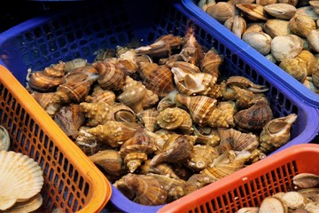 live conch in Seafood Market

