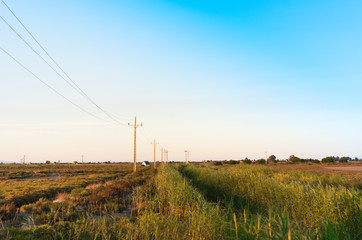 Agricultural fields in the delta, Tarragona, Catalunya, Spain. Copy space for text.