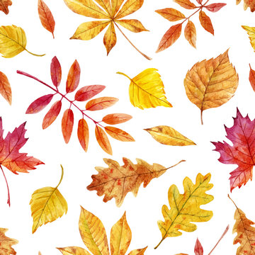 Watercolor autumn leaves vector pattern