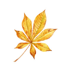 Watercolor fall leaves vector set