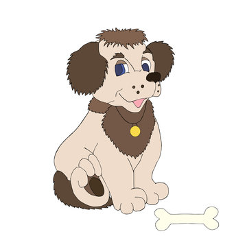 Beautiful cute dog with a bone, hand-drawn.