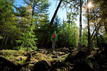 hiking woman walking in the sunrise autumn forest