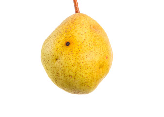 Pear on white isolated background. Space for text. Close-up