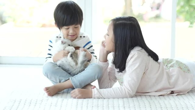 Cute asian children playing and holding kitten slow motion 3