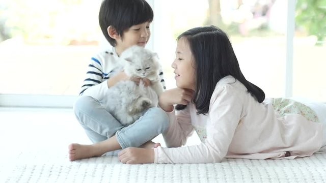 Cute asian children playing and holding kitten slow motion 4