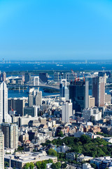 Fototapeta premium 東京の都市風景 日中