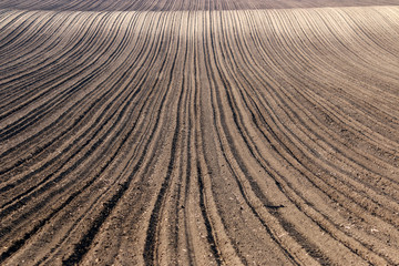 plowed field nature background agriculture