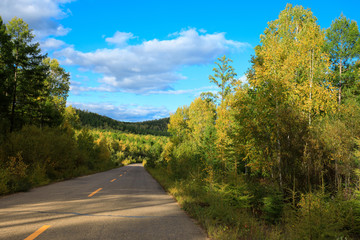 trail in colorful autumn forest