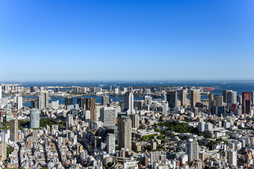 Obraz premium Tokio pejzaż w ciągu dnia