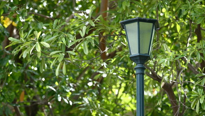 Light street lamp on green nature in the park background.