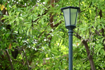 Outdoor old lantern on green nature in the park background.