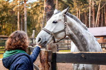 Beautiful young woman is feeding horse with hands