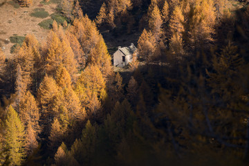 Scenics mountain fall landscape with stone lodge surrounded by larches forest in sunny autumn day outdoor.
