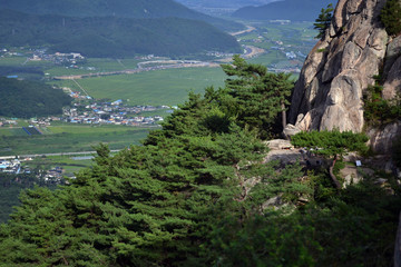 The view around Namsan Mountain. There's a carving of Buddha if you notice! Pic was taken in August 2017