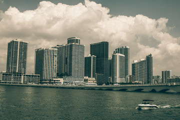 Miami Skyline