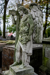Fototapeta premium Cmentarz,groby,pomniki. Święto zmarłych
