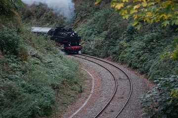 mit der eisenbahn durch das erzgebirge