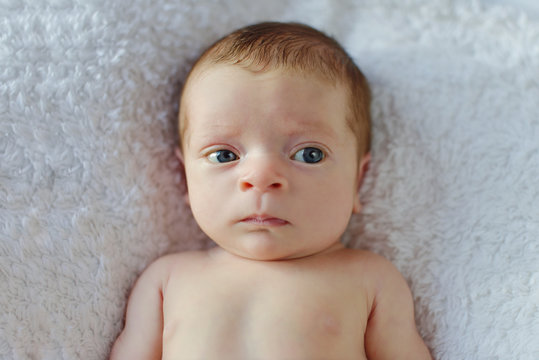 portrait of tiny newborn