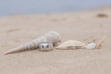 Wedding Rings on Sand.