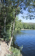 The Magical infrared efex