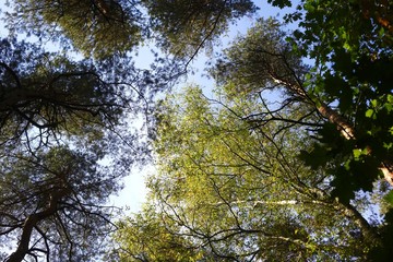 Fototapeta premium Herbstzeit